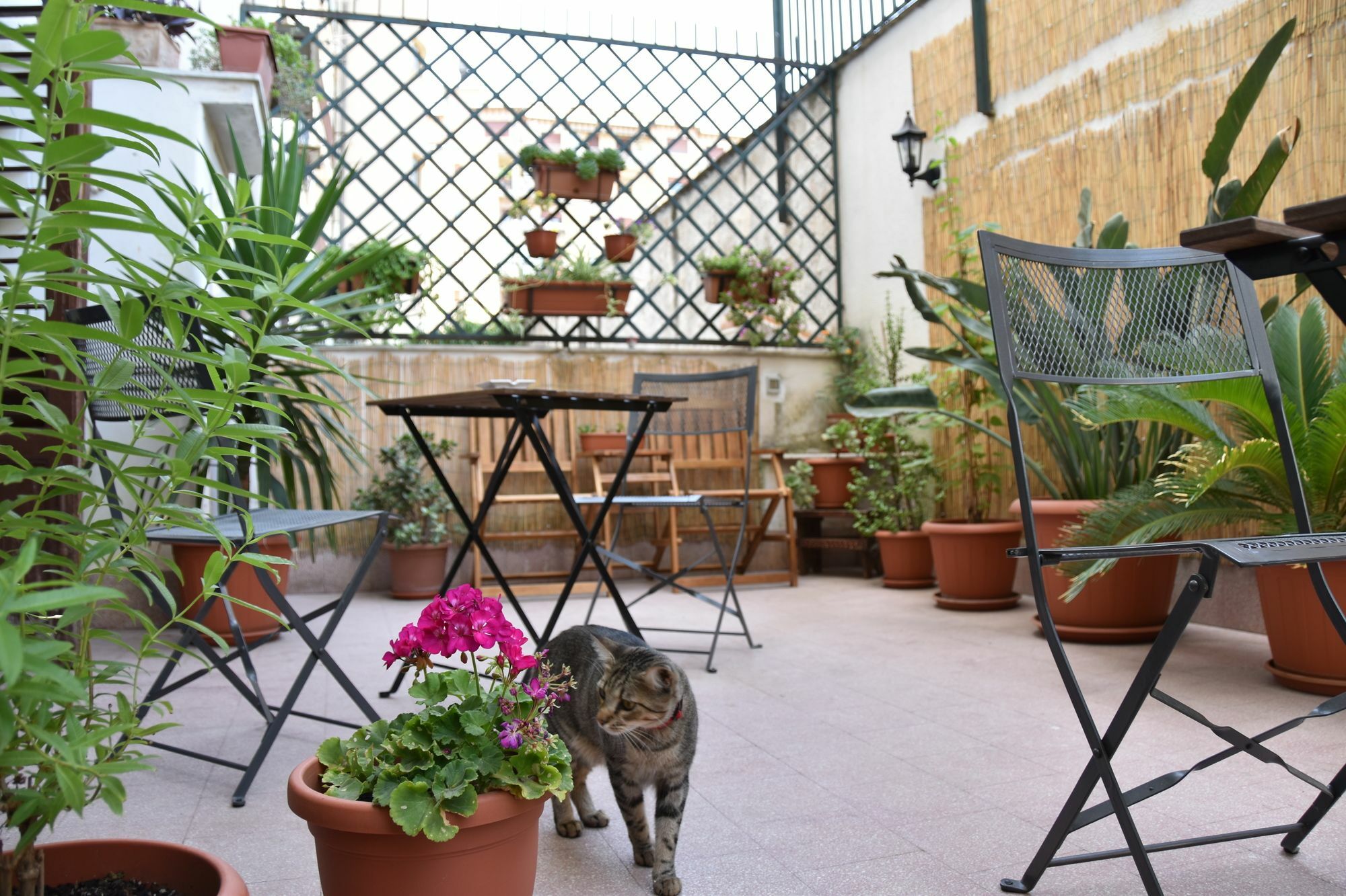 Il Lapino Hotel Palermo Exterior photo